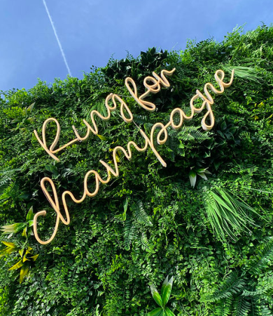 Illustration de l'animation Buisson à Champagne.